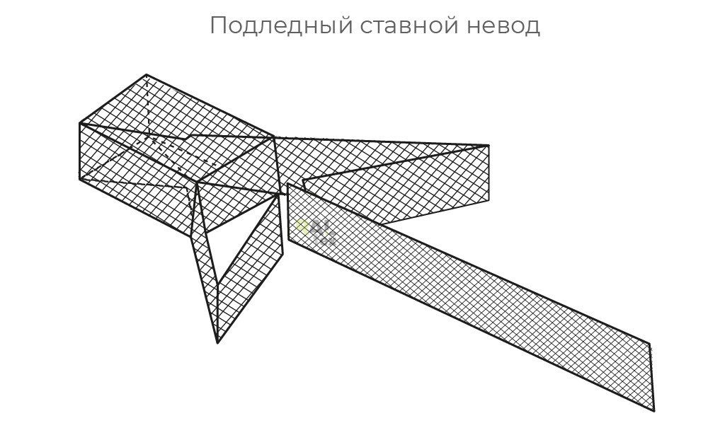 Ставной невод подледный