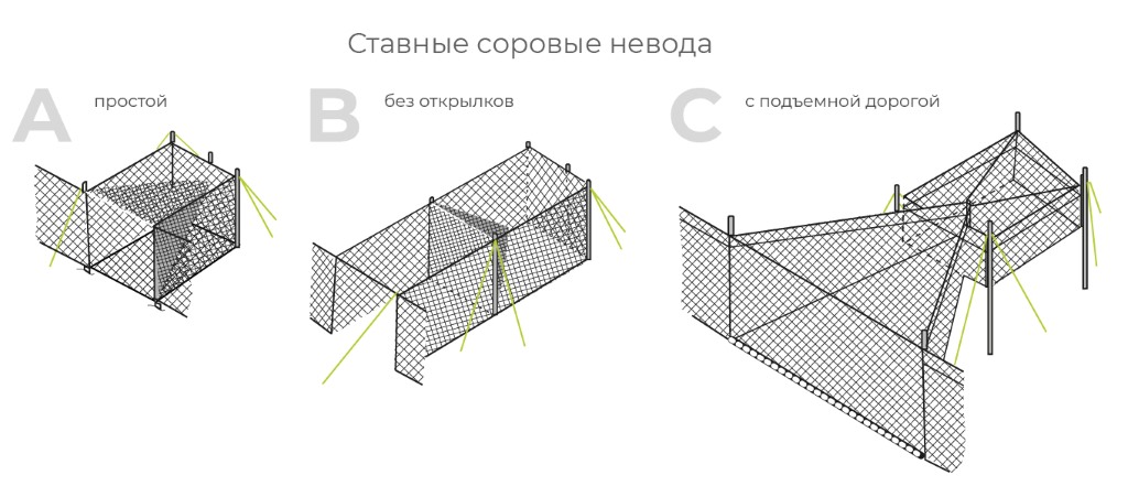 Соровые невода