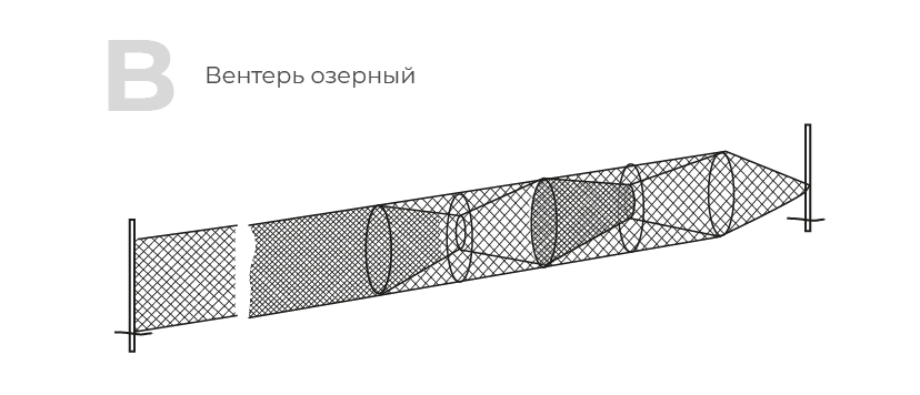 вентерь озерный